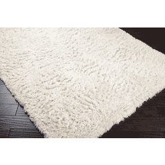 Ashton Ivory 5' x 8' Rug